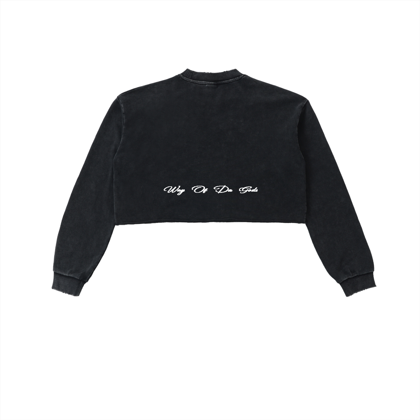 Snow Washed Raw Edge Cropped Sweatshirt | WODG®